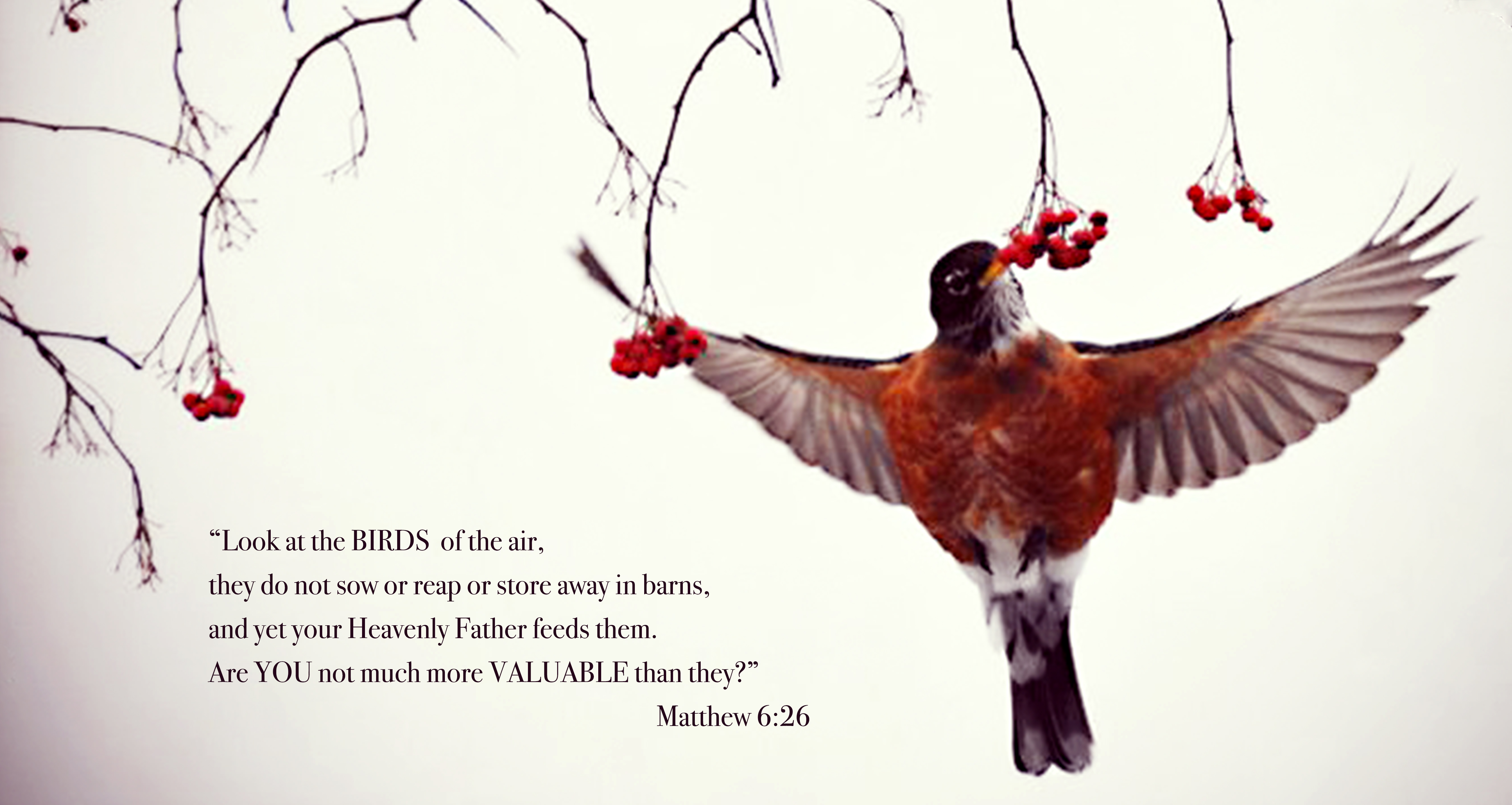 Bird with Scripture